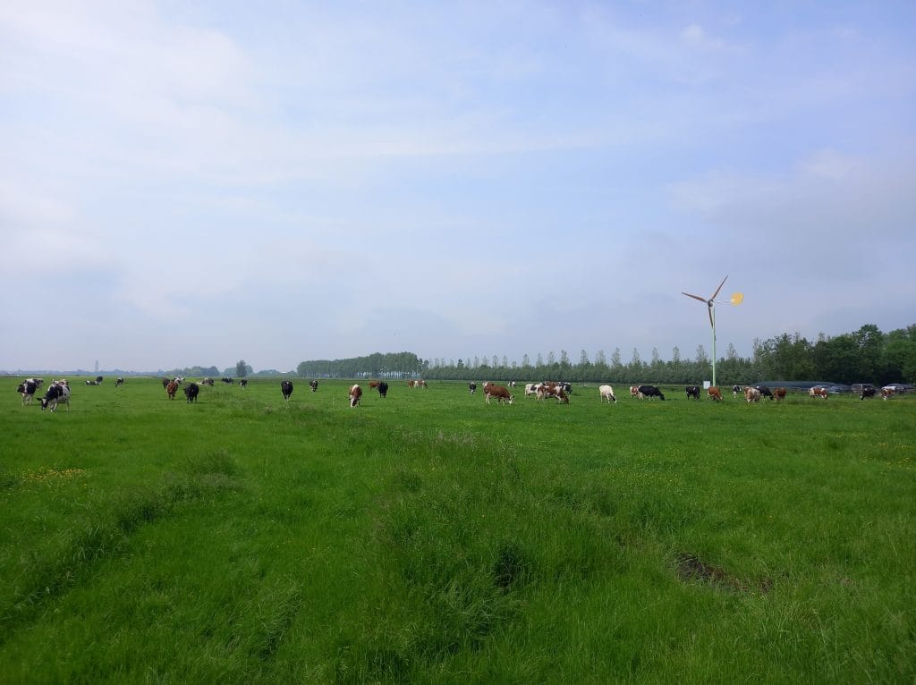 Foto met windmolen-min